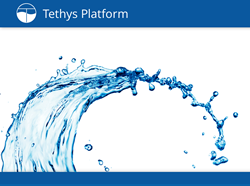 Tethys Platform
